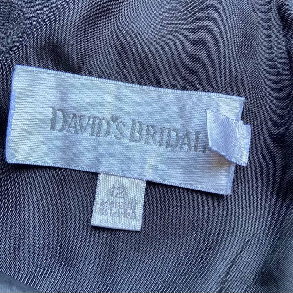 David’s Bridal Formal Dress Bridesmaid Silky Sleeveless V Neck Ruched 12 Large - Picture 2 of 8